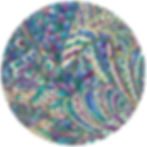 429 Flourish Peacock