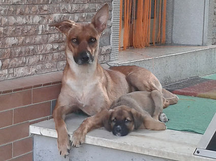 20140919_084336.jpg