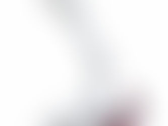 レプロナイザー発売!