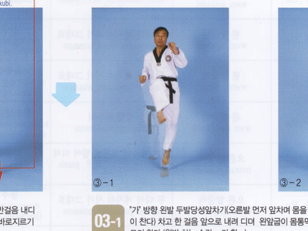 Taekwondo