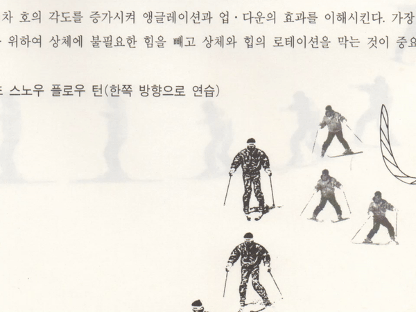 ski