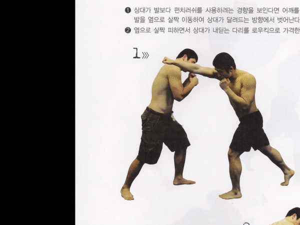 MMA