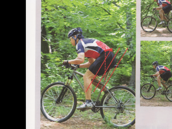 mt bike