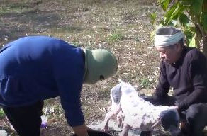 LA DOUCHE DU CHIEN...UN MOMENT IMPORTANT...