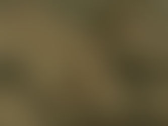 HISTOIRE DE LA THAÏLANDE