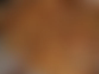 MANGER DES INSECTES...LA NOURRITURE DE DEMAIN...