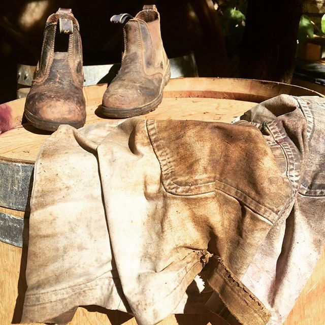 Italian intern designer gear for #harvest2017 You can see we've had a busy week at #detrafford and _saradambra has been a great help