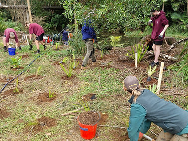 3. Bulwinkel During.jpg