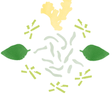 acorda menines organics.png