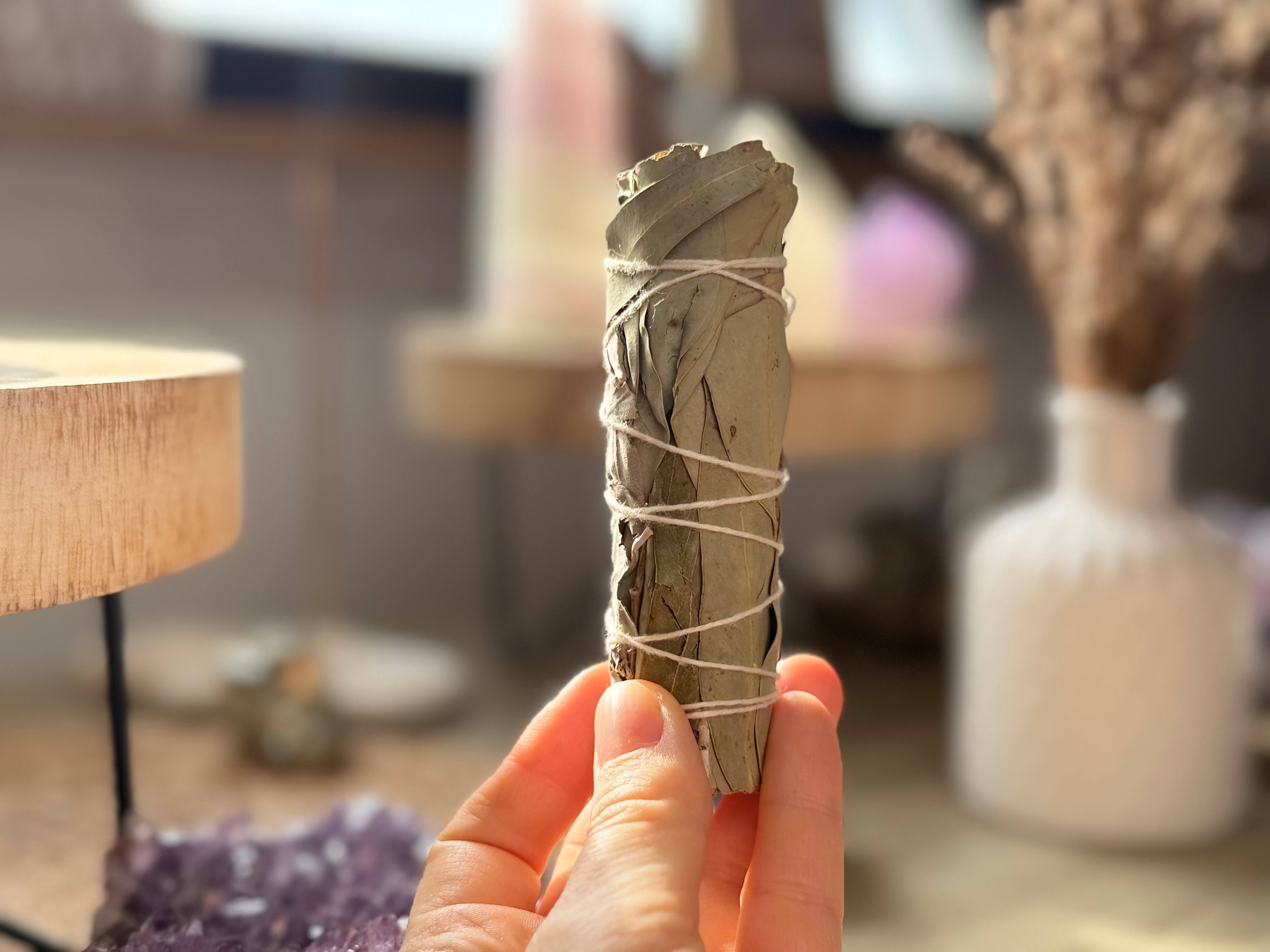 Beli žajbelj z evkaliptusom