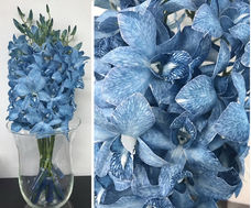 lervia blue cobalt3.jpg