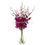 Thumbnail: Dendrobium Burgundy Dark Red Orchid Fresh Cut Flowers