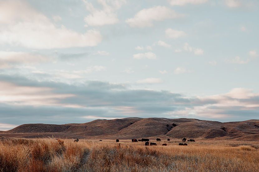 Nebraska Rural Marketing