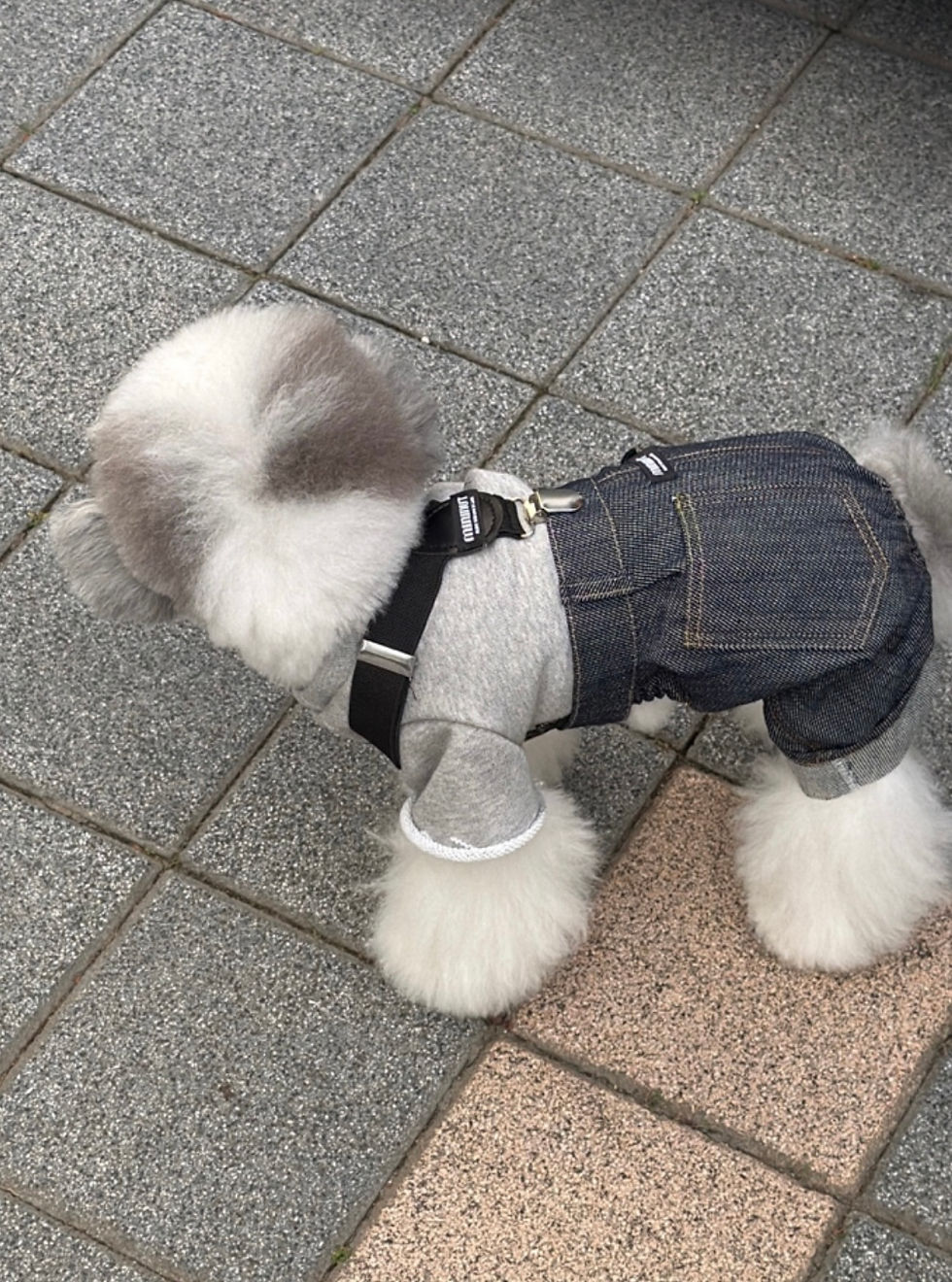 サムネイル： 【予約】mininutロールアップデニムパンツ