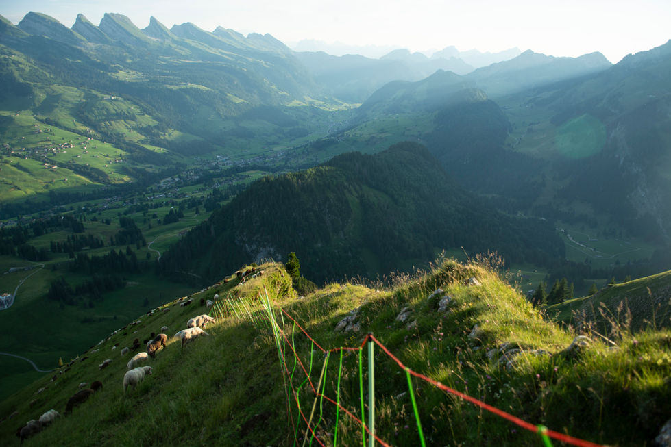 schofberg_25-06-30_12