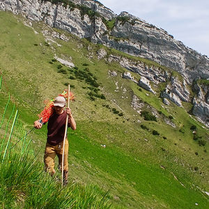 Zäunen, zäunen, zäunen!