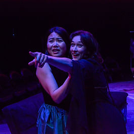 Strawdog Theatre Company