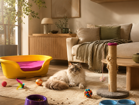 Why Premium Pet Products Matter