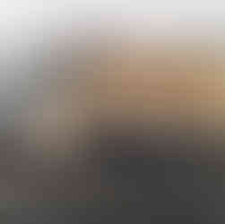 Fresh Start Waste Services