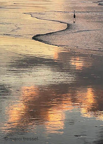 Reflections at Dawn.jpg