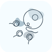 Fertility Advice