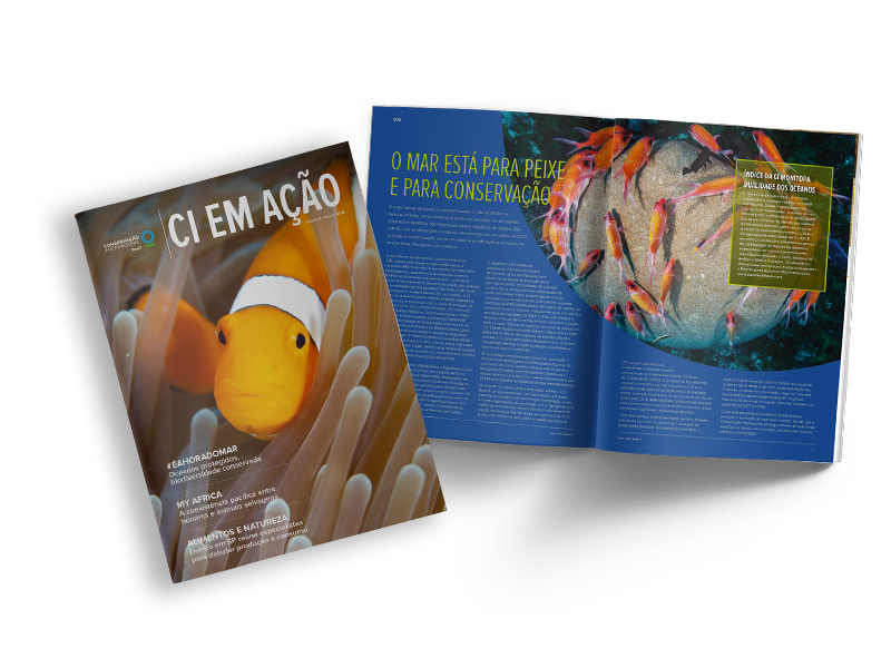 Publicação periódica