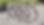 Diseño sin título (50).png