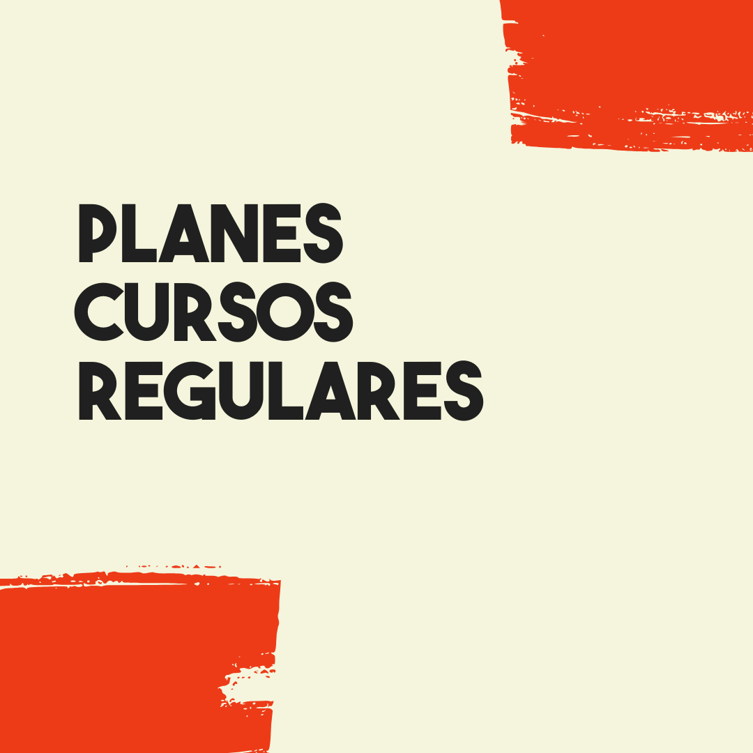 Planes para Cursos Regulares | Baila con Timbalé