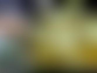 Bife à Parmegiana com Cerveja