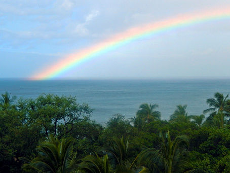 Inhale Peace, Exhale Love