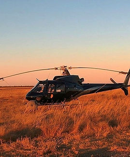 as350_edited.jpg