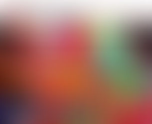 Presentación del libro y fotografías
10 AÑOS INFANCIAS: VARIOS MUNDOS
INFANCIAS DE LATINOAMÉRICA
C