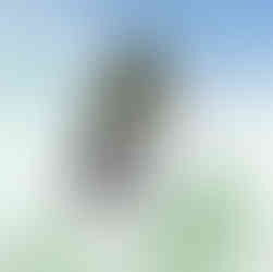 Urban Elegance Series