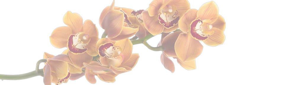 cymbidium_orchid-orange (1) (3)_edited_e