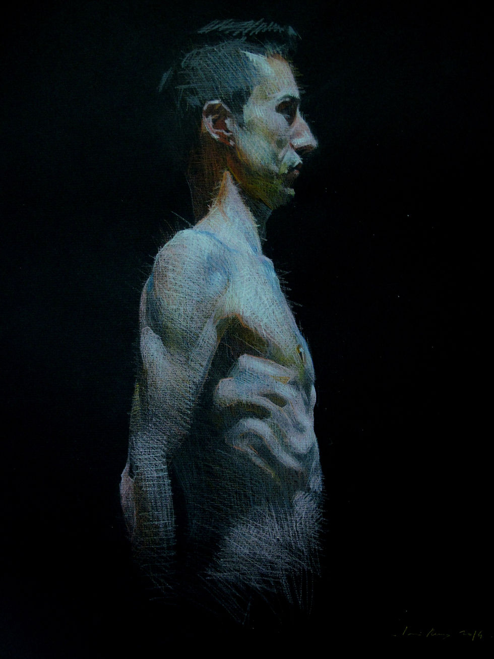 Lapiz sobre papel. 2013