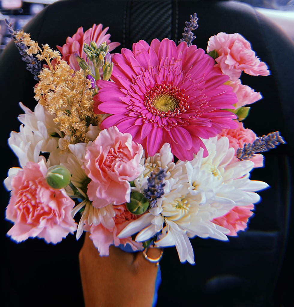 Arranged Food and Objects