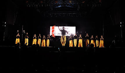 Festival 7