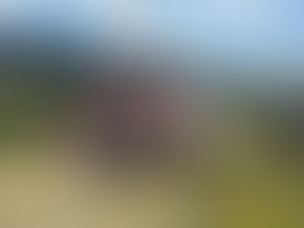 Gymnastique et randonnée