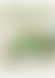 Chasse aux œufs de Pâques, le 5 avril 2026