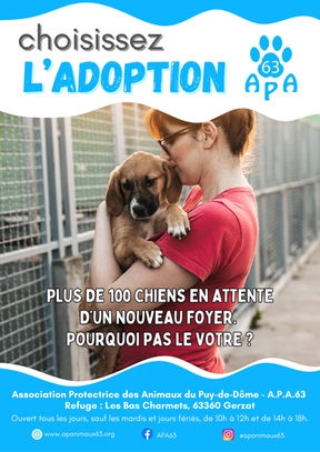Des chiens et chats à adopter