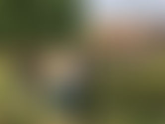 Réunion de quartier du Lotissement Saint-Romain, samedi 7 octobre 2016