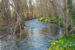 Un environnement, une biodiversité