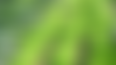 Vente de légumes Bio et locaux à Tallende