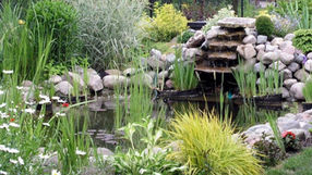 1. Aménager un point d'eau...