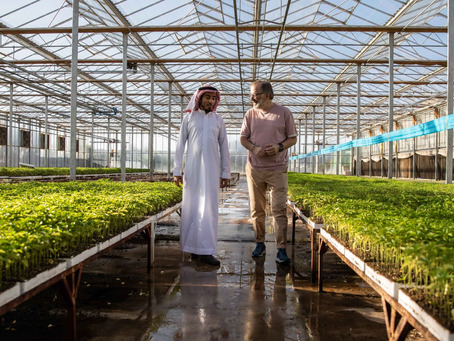 NEOM, Saudi Arabia, Partners with CARE's, Italian Chefs' Global Initiative