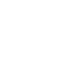 The Bean NYC Redesigned Logo In White