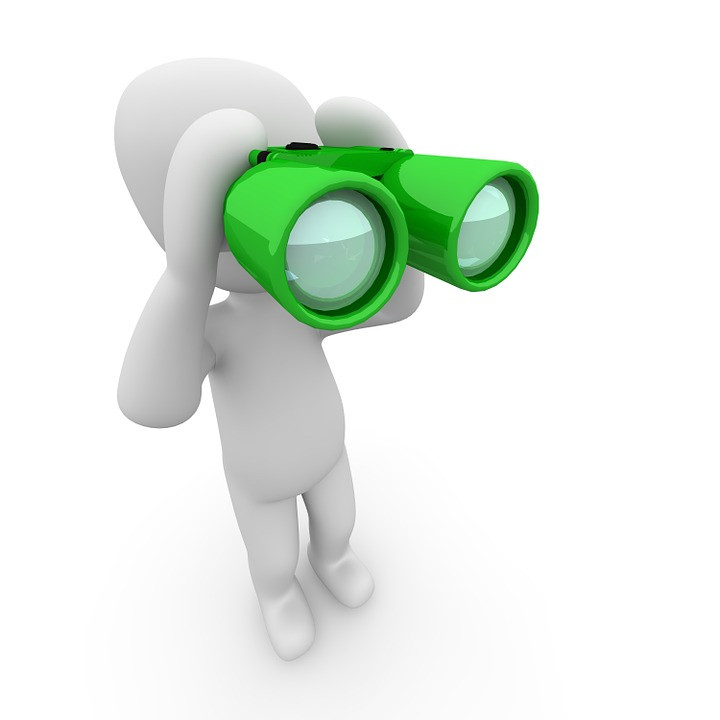 Person Searching With Binoculars
