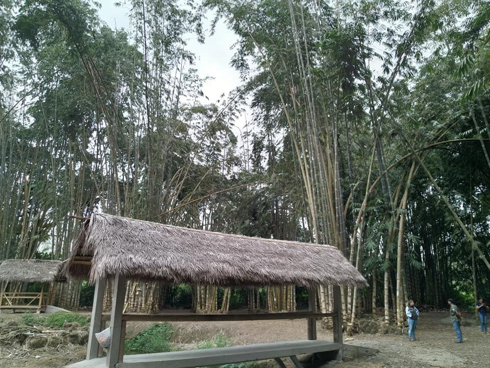 CENTRO DE FAUNA SILVESTRE "JAMES BROWN"