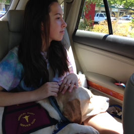 A Diabetic Alert Dog is a protector and a lifeline!