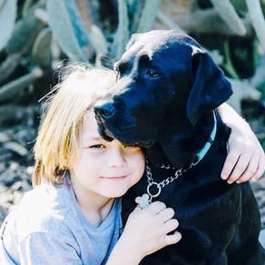 A diabetes guardian angel, no technology could replace, Milo & Remi